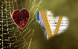 ❤⊱⊱紫語⊰⊰❤主播照片