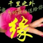 V听歌V云淡风轻海报