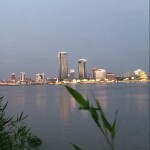 319月清海报