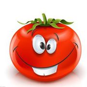 ♫㎜蕃❀茄㎜♫的头像