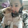 猫.葬月~莫漪、海报