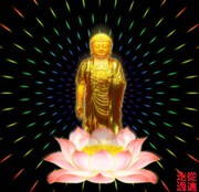 微信_7816138
