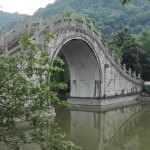 潇洒的大象acdnrs海报