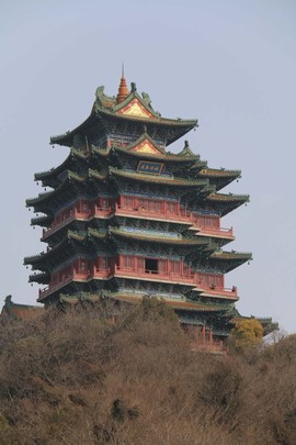 @拉芳主播照片