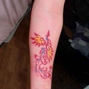 D小颖