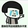 最长的电影ax