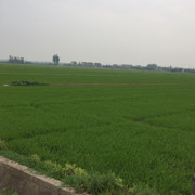 這年頭，就这样吧