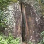 旧欢如梦醒t海报