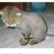 ☞谁动了我的奶酪