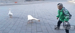 Ⅶゞ★♪♬蹭歌王♬♪主播照片