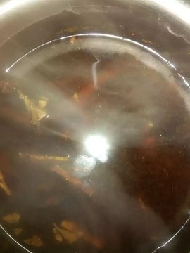 2017金鸡贺岁主播照片