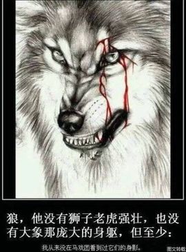 ｛独愛｝赵事儿事儿主播照片