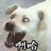 微信_8392021