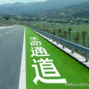 .金海豚海报