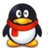 老虎8858