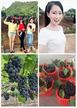 梦想💫女王主播照片