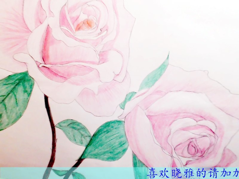 曉雅*y*的主播照片