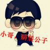 Miss※星缘海报