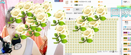 傲气&amp;白玫瑰主播照片