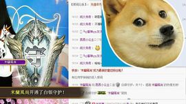 风琴琴琴音主播照片