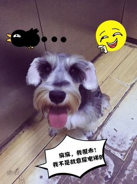 ❥.②梦.﹌停播主播照片