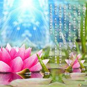 super大坏蛋79bosv海报