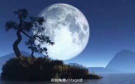 我本善良---主播照片
