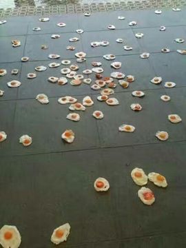 ☆呵呵哒ღ♫主播照片