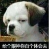 天空明亮是因为有太阳