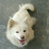 點點☜♥☞滴滴