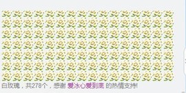 你的冰心回来了主播照片