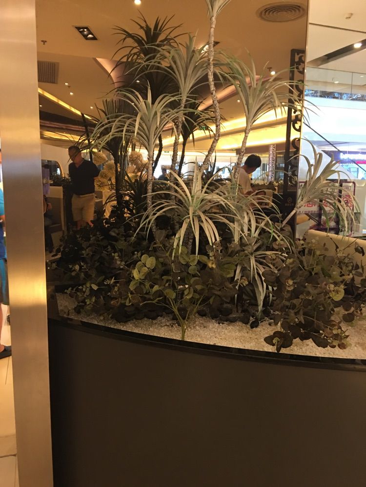 ♪♪我是丸子呀的主播照片