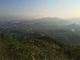 ✿﹏众山国ღ难得糊涂主播照片