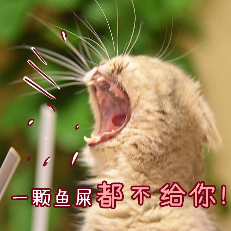 義家军灬小馨宝的主播照片