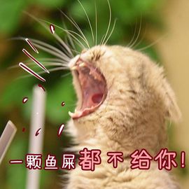 義家军灬小馨宝主播照片