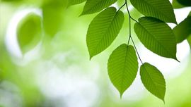 雲无迹主播照片