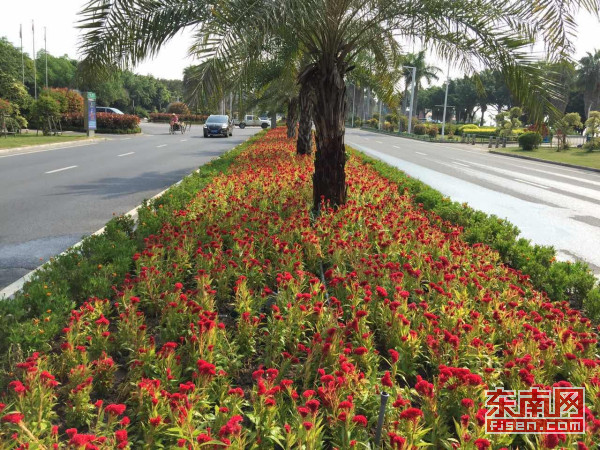 ??環島心扉??的主播照片