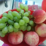 诺言（烟花易冷）
