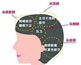 幸福《露露》主播照片