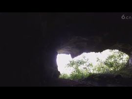 🚩风景🚩主播照片