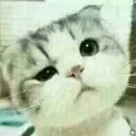 我自依旧向天笑