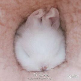 ✨媳婦⭐求🌙帶走✨主播照片