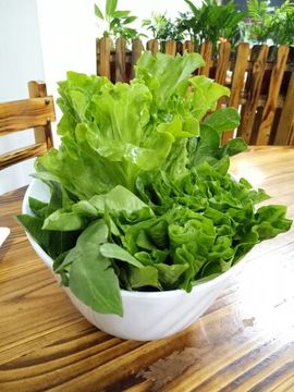 @洛洛✨主播照片