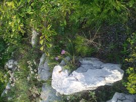 ✨媳婦⭐求🌙帶走✨主播照片
