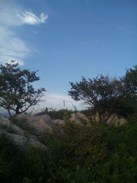 ✨媳婦⭐求🌙帶走✨主播照片