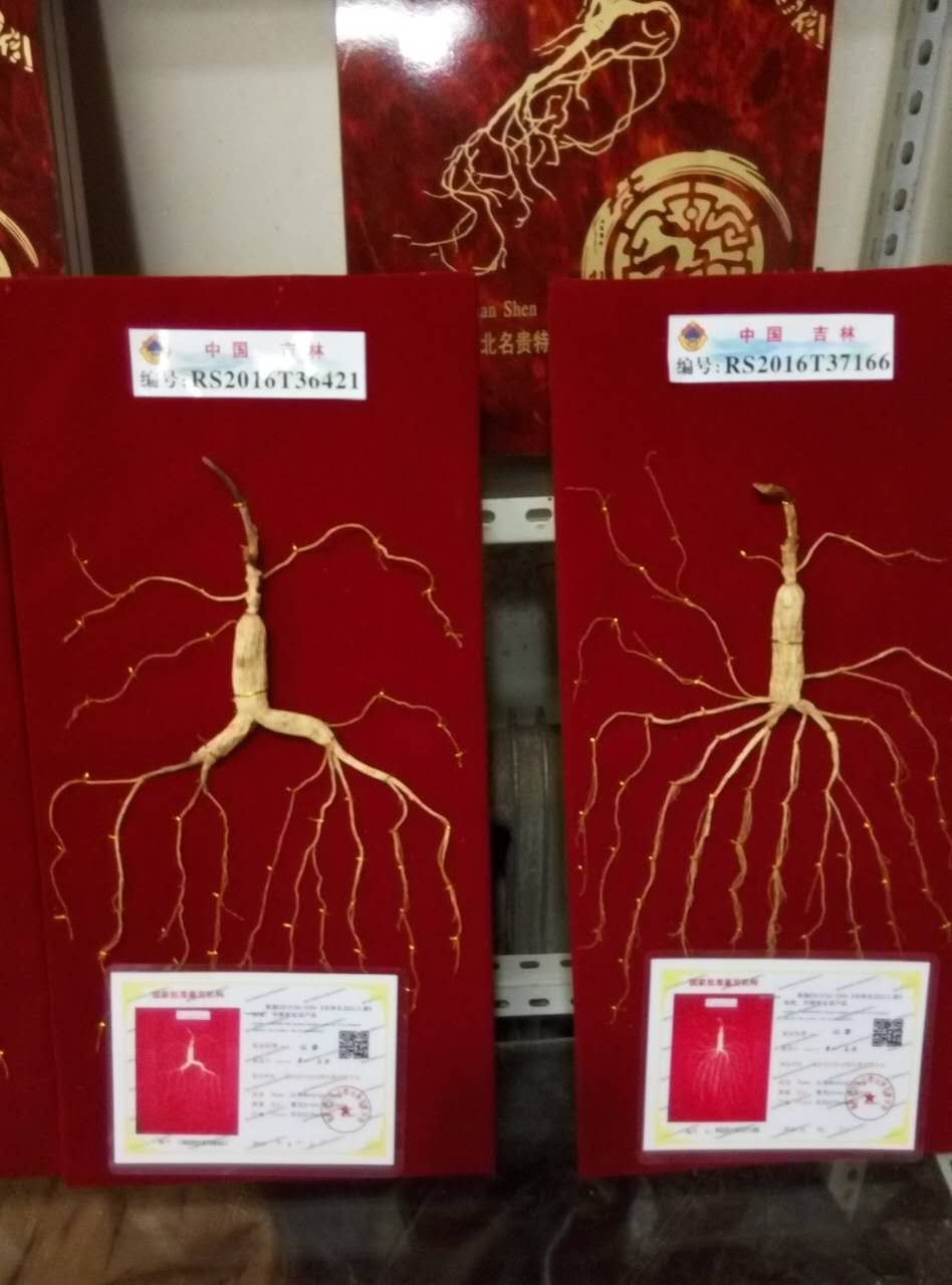 往事如烟飘飘就散的图片