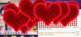 ￡八月￡用心唱主播照片