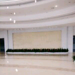 滨子🌴的主播照片