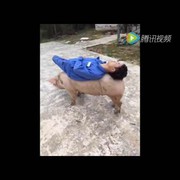 微信_19i6海报