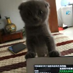水晶；奥林匹克